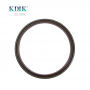 19037227B 813717300 541571 1876190 1684106 166*191*16 Rear Crankshaft Oil Seal