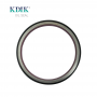 19037227B 813717300 541571 1876190 1684106 166*191*16 Rear Crankshaft Oil Seal