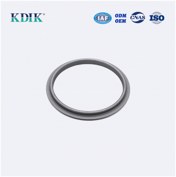 21129-45001 Size 100*120*9.5 Crankshaft Rear Oil Seal for Hyundai KIA