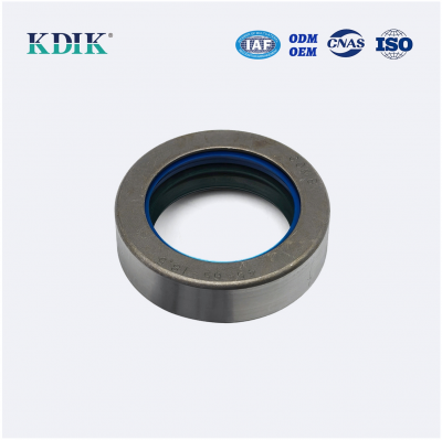 Combi SF6 45*65*18.5 Oil Seal 12012377B 5169122 5183845 9840518 Agricultural Tractor Wheel Hub Oil Seal