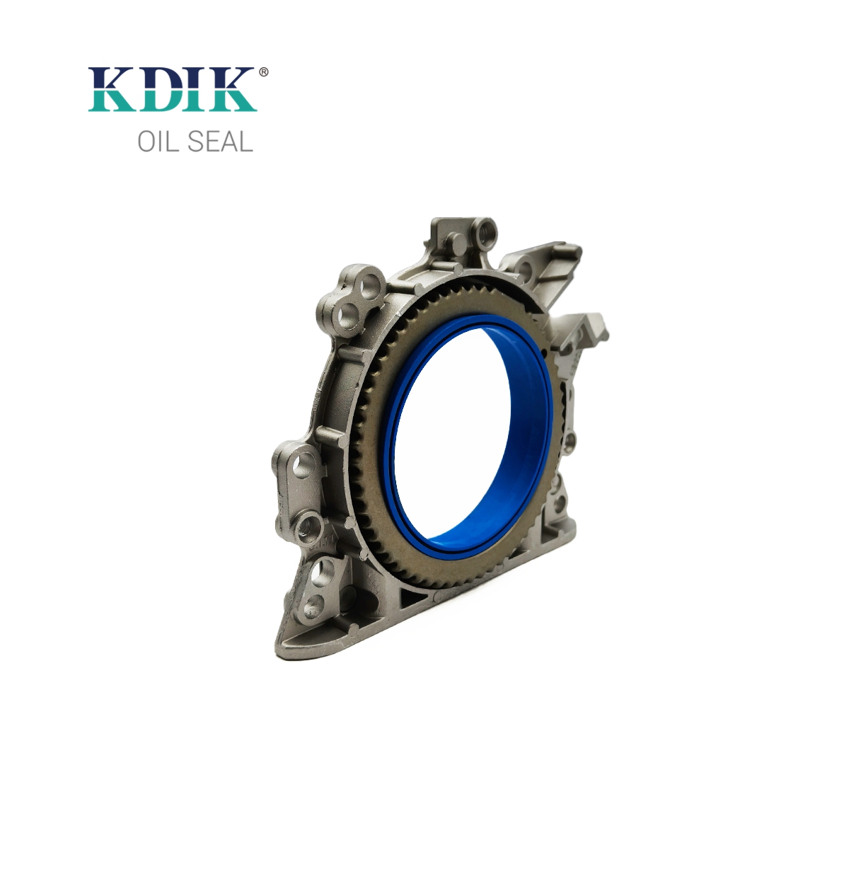 Auto Engine Parts 036103171B 036103171 036103171D 032103170 Oil Seal Crankshaft Skoda Oil Seal