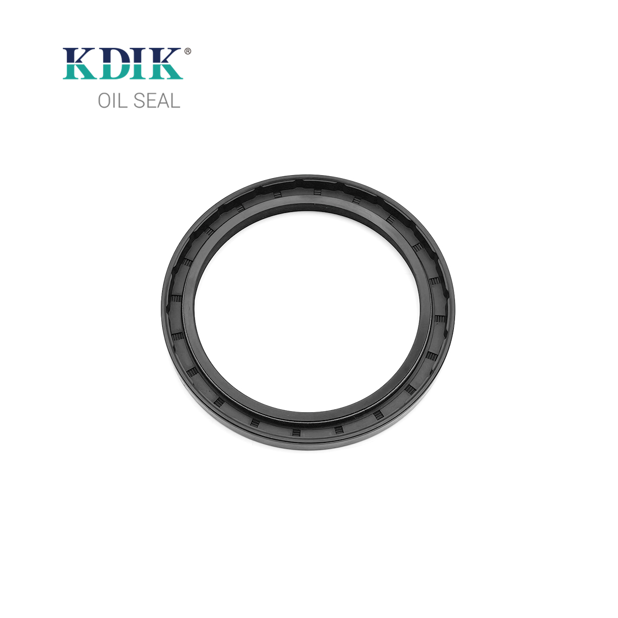 High Quality TC 95*120*10 Oil Seal Rotary Shaft Seal Double Lip W/Spring
