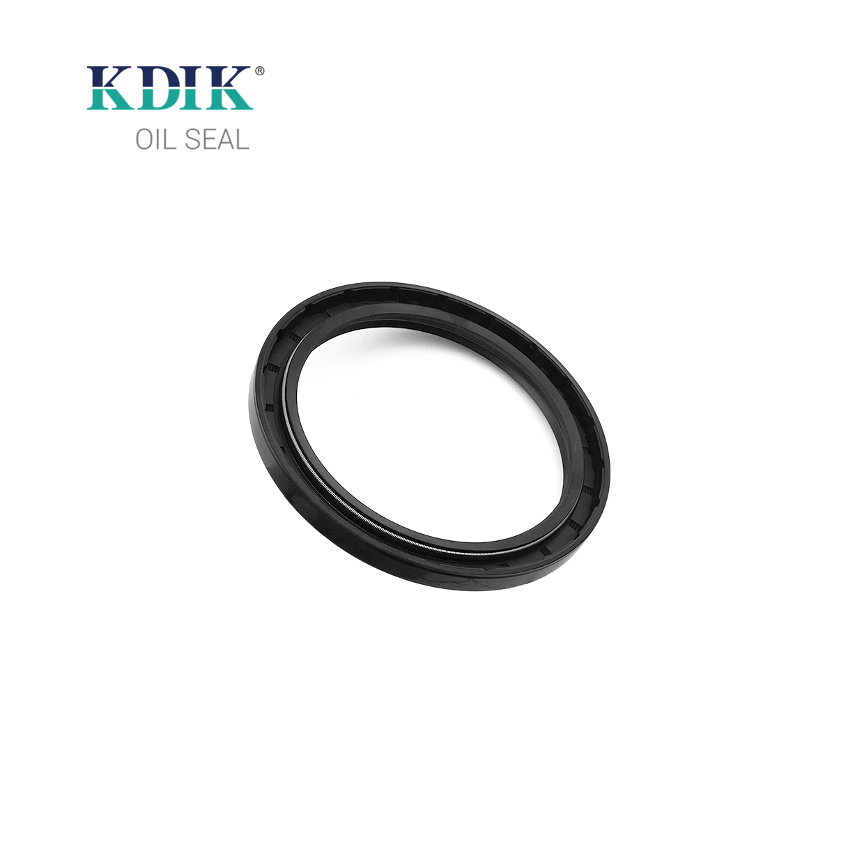 High Quality TC 95*120*10 Oil Seal Rotary Shaft Seal Double Lip W/Spring