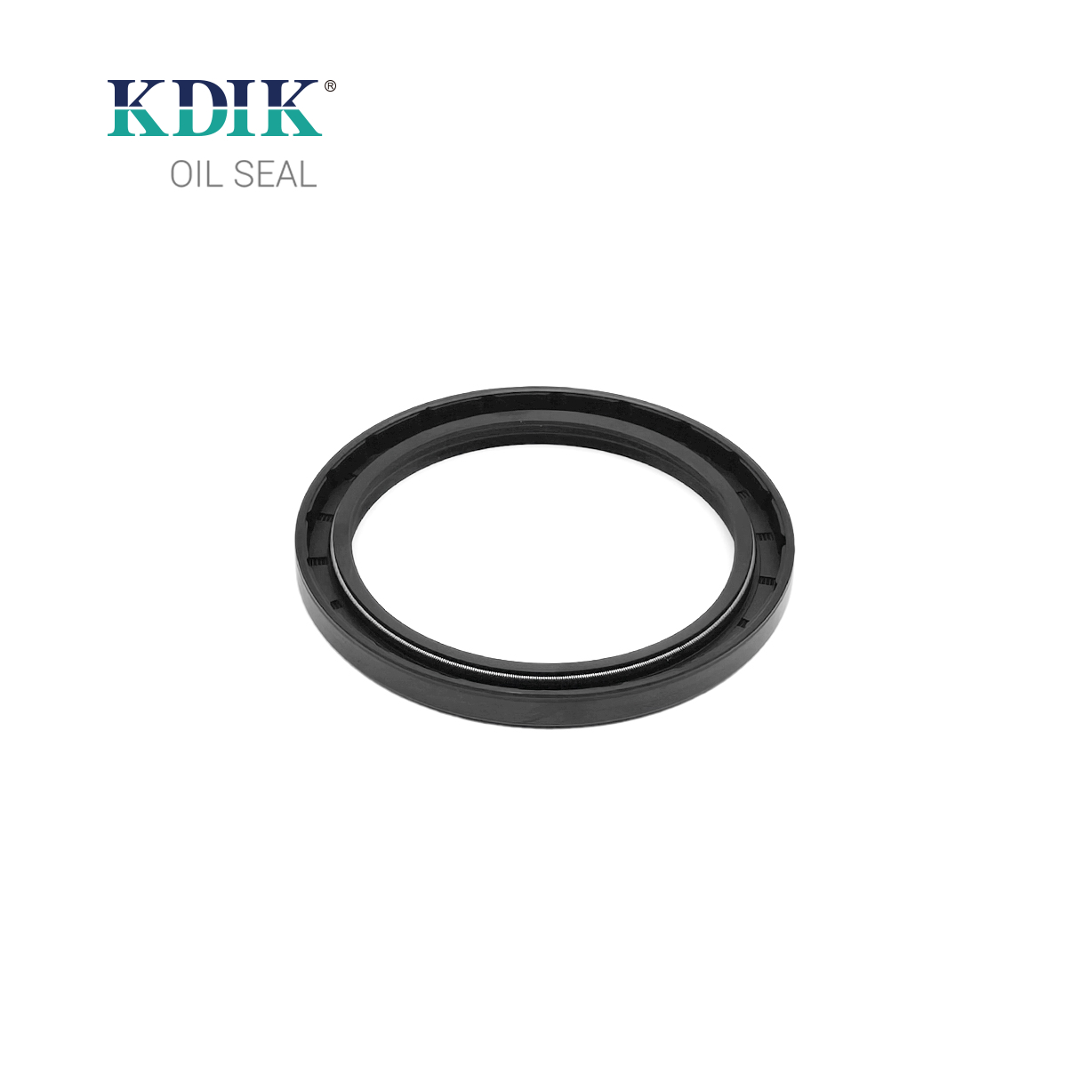 High Quality TC 95*120*10 Oil Seal Rotary Shaft Seal Double Lip W/Spring