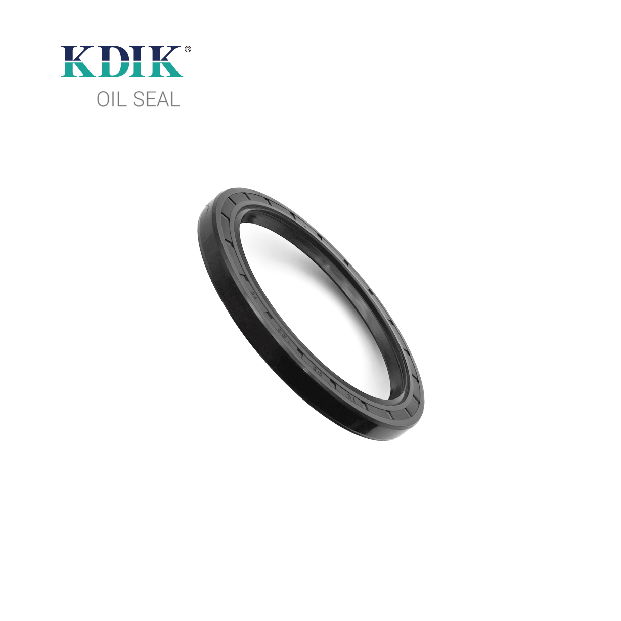 High Quality TC 95*120*10 Oil Seal Rotary Shaft Seal Double Lip W/Spring