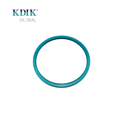 12012576b Dgs Oil Seal 170*190*8.5/9.5 Shaft Oil Seal 0059978447 A0059978447 for Benz