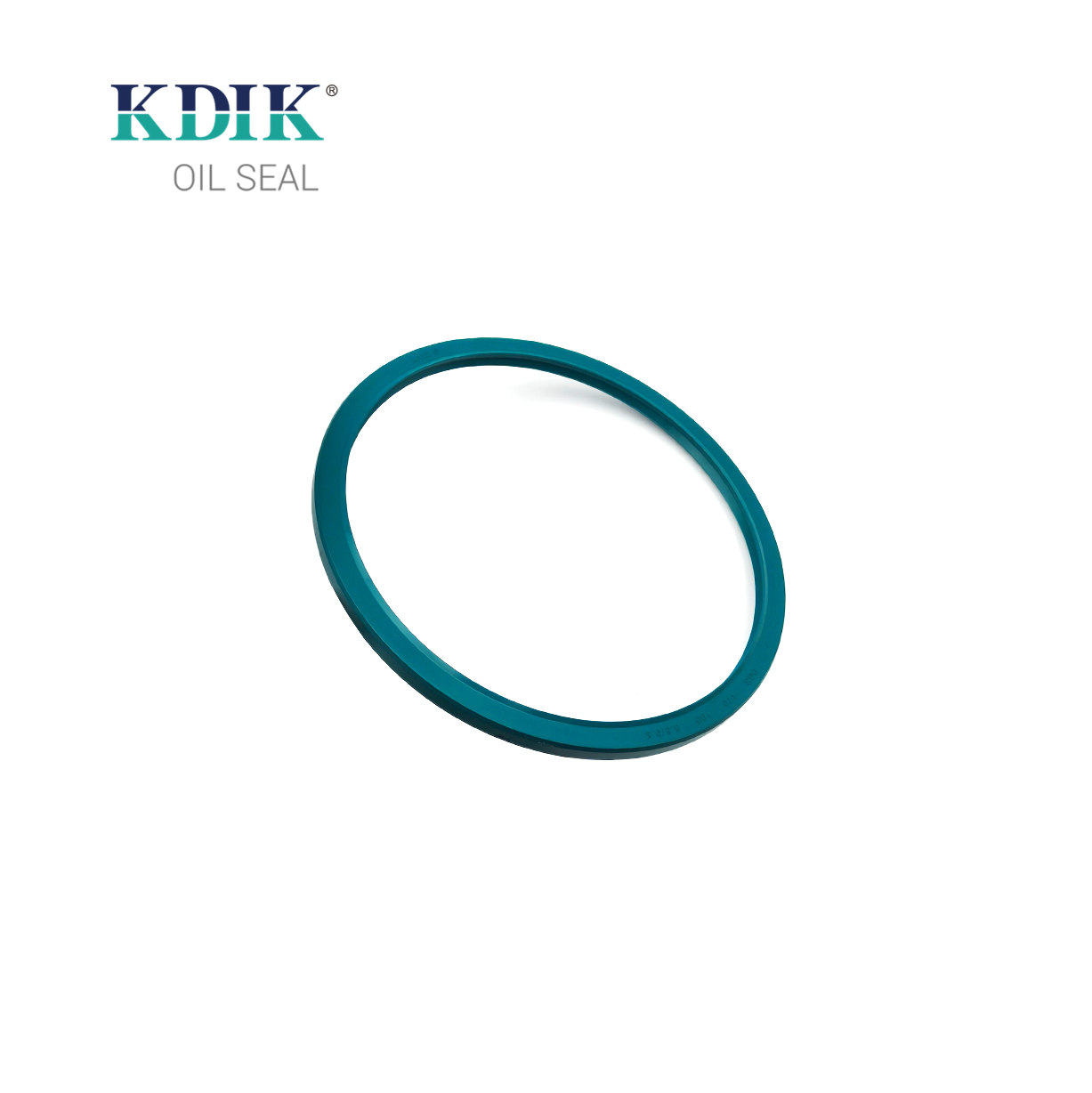12012576b Dgs Oil Seal 170*190*8.5/9.5 Shaft Oil Seal 0059978447 A0059978447 for Benz
