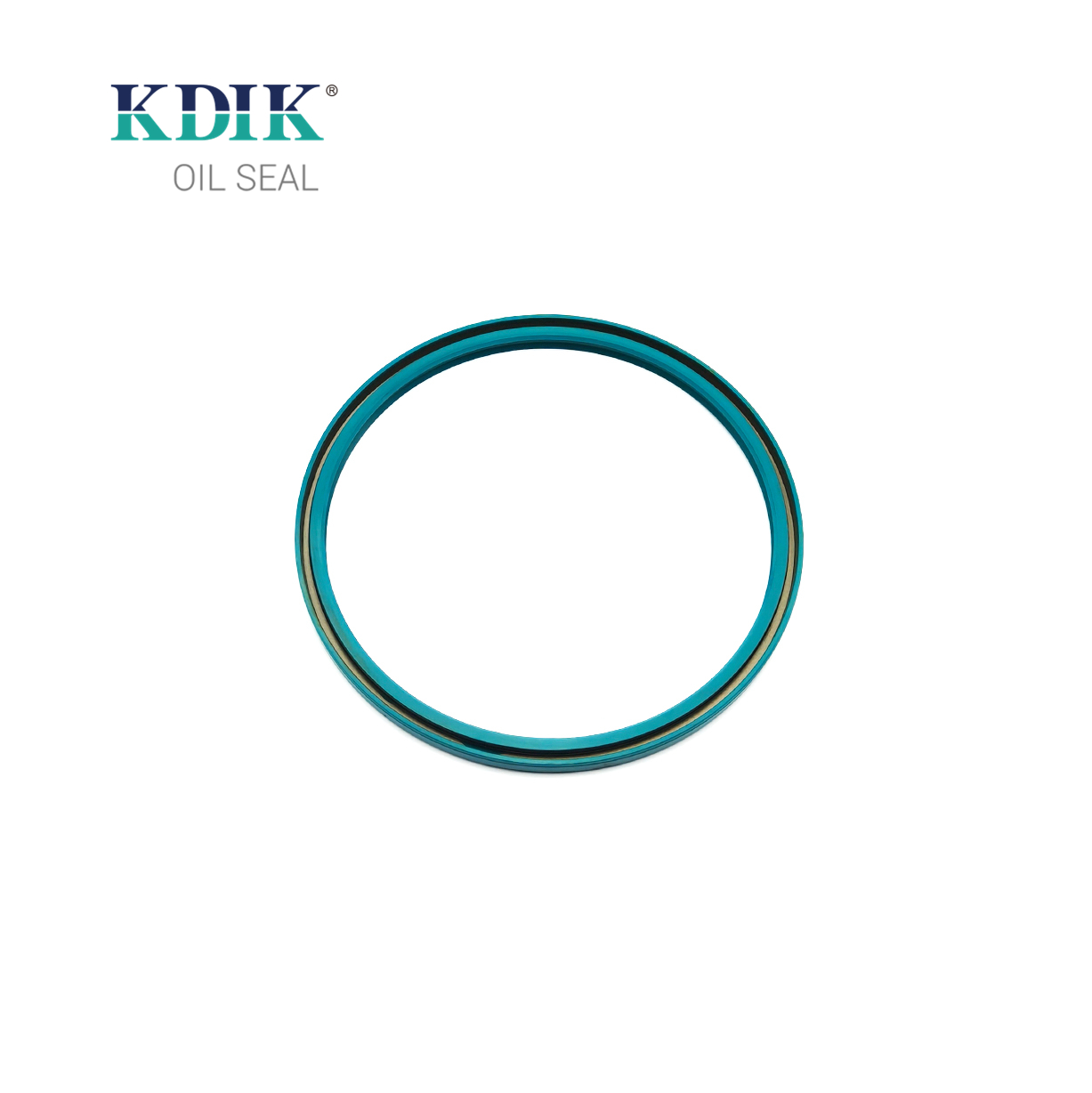 12012576b Dgs Oil Seal 170*190*8.5/9.5 Shaft Oil Seal 0059978447 A0059978447 for Benz