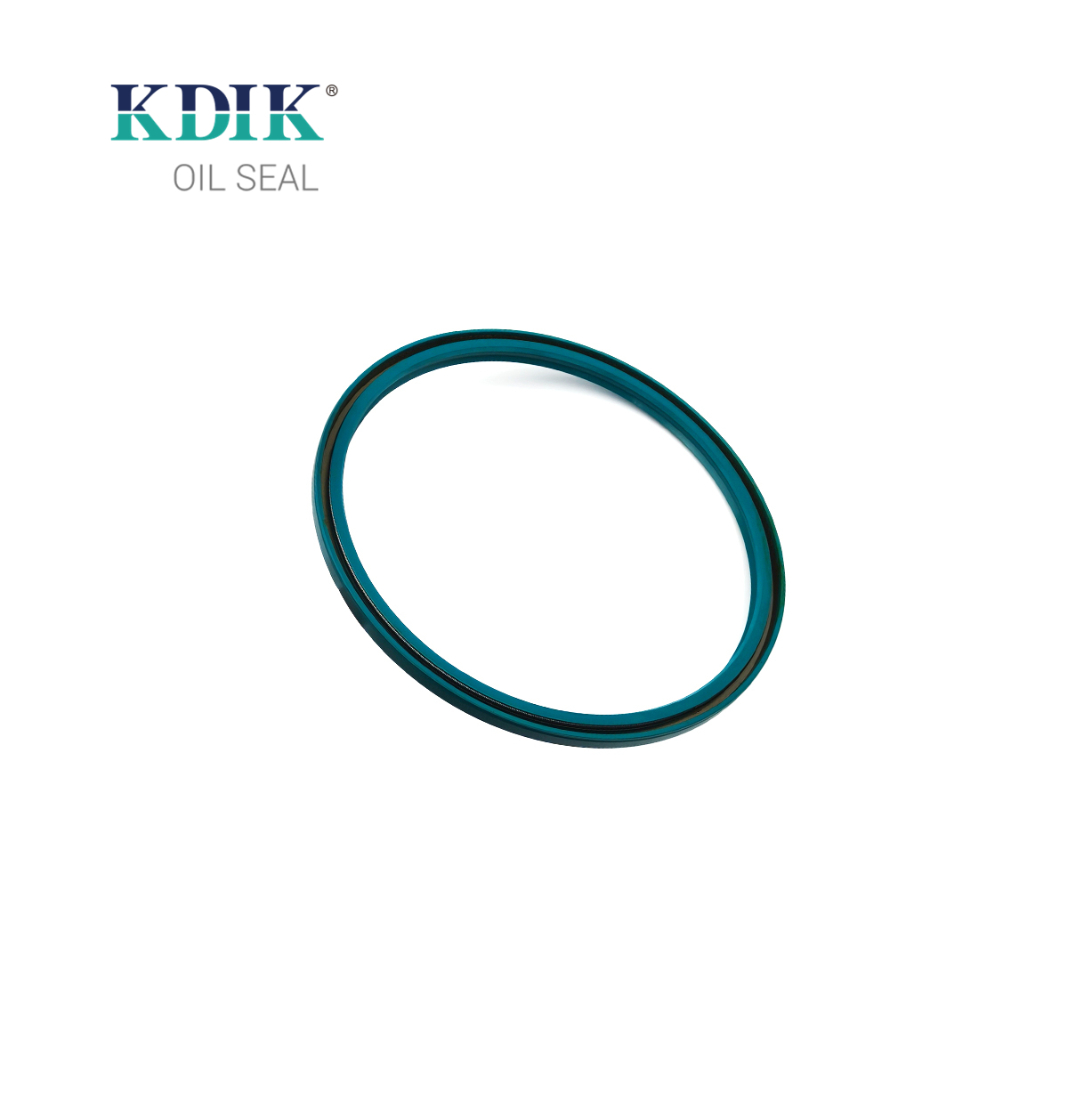 12012576b Dgs Oil Seal 170*190*8.5/9.5 Shaft Oil Seal 0059978447 A0059978447 for Benz
