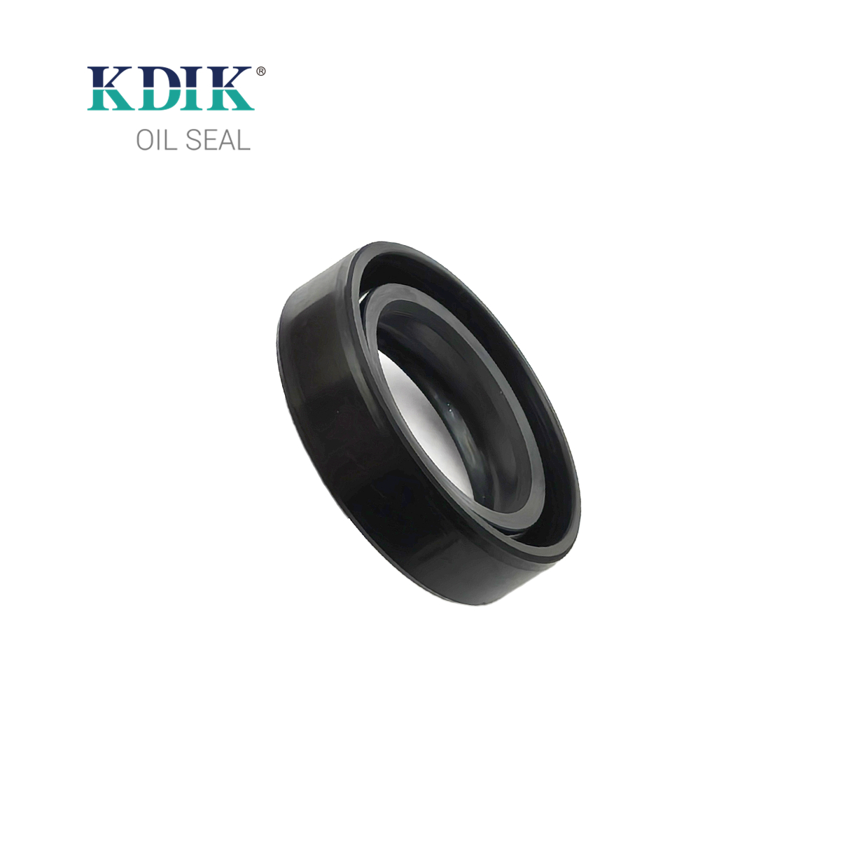 High Quality TC 25*37*10 NBR Material Black Shaft Oil Seal Double Lip with Spring Auto Parts