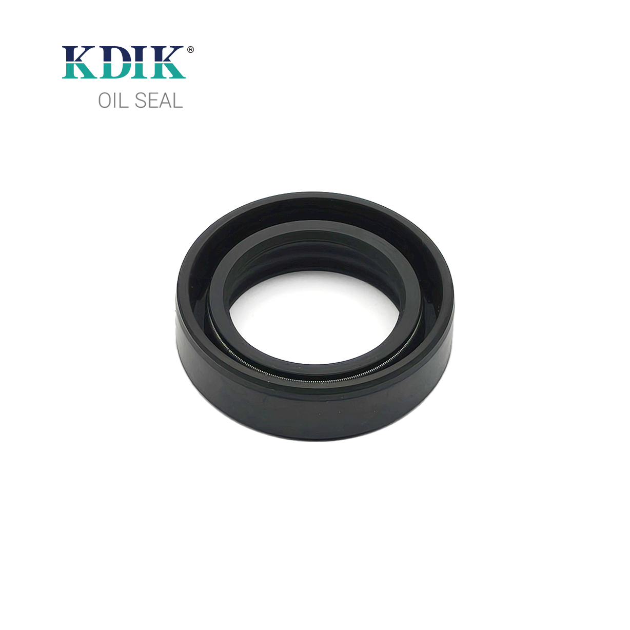 High Quality TC 25*37*10 NBR Material Black Shaft Oil Seal Double Lip with Spring Auto Parts