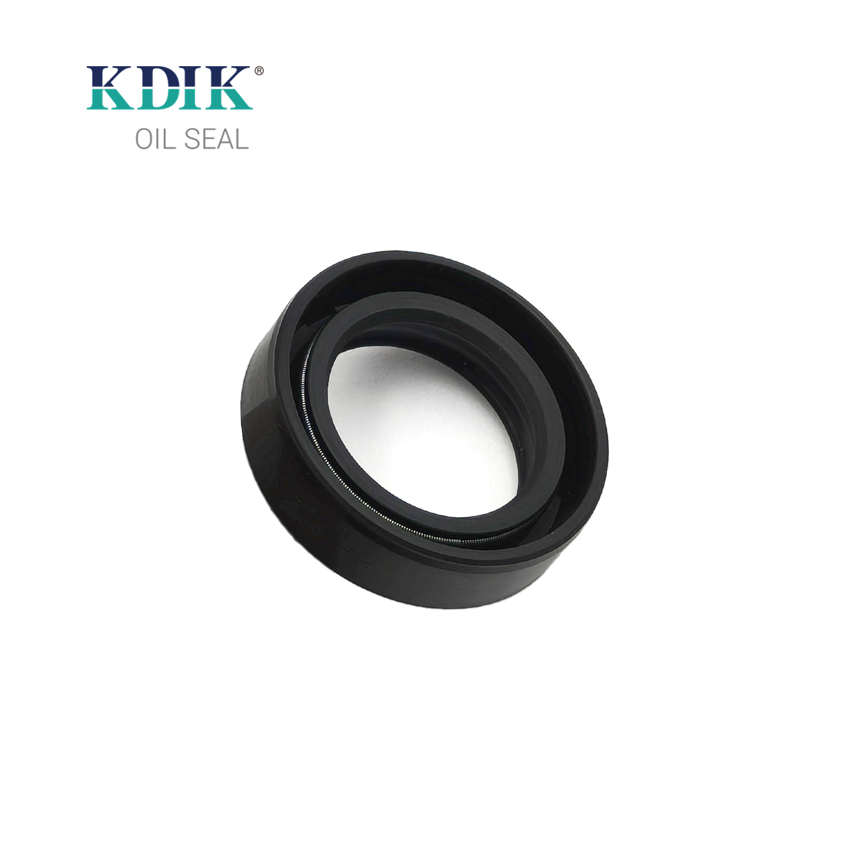 High Quality TC 25*37*10 NBR Material Black Shaft Oil Seal Double Lip with Spring Auto Parts