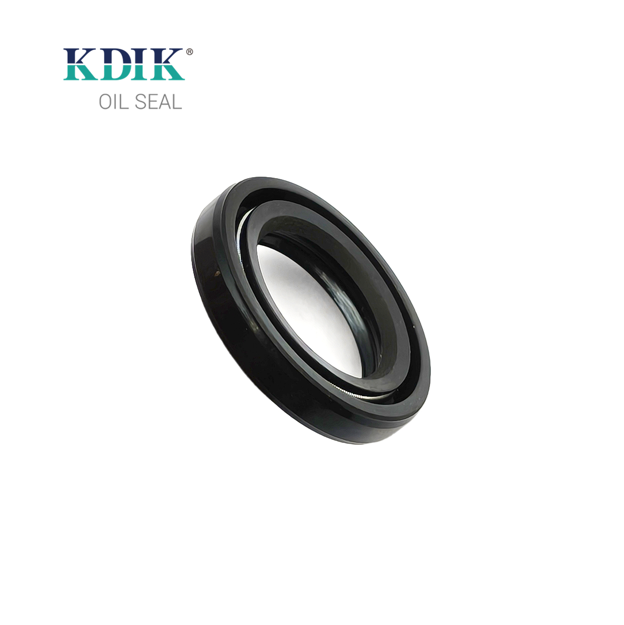 Tc4p 19.5*30*5/6 Power Steering Oil Seal Rack Power Seal for Renault and Nissan