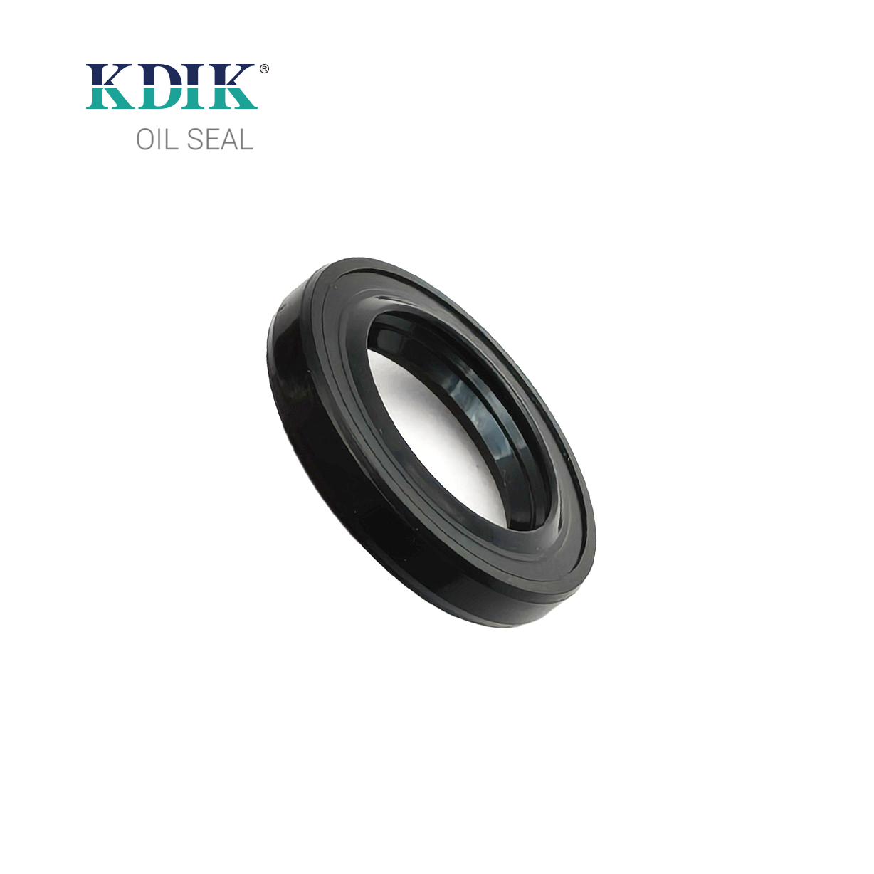 Tc4p 19.5*30*5/6 Power Steering Oil Seal Rack Power Seal for Renault and Nissan