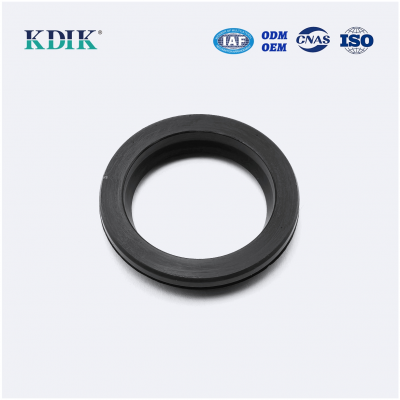 TC OIL SEAL