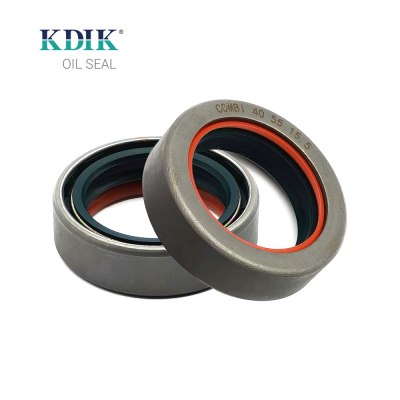Best Price COMBI Oil Seal 40*55*15.5 12018848B 145761 Oil Seal for JOHN DEERE CARRARO CORTECO ER145761