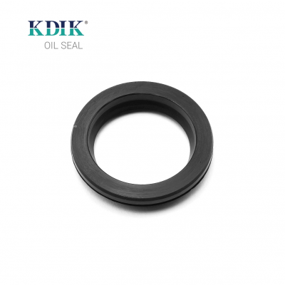 TC OIL SEAL