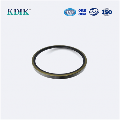 XTSEAO SB 160*180*13 Rear Wheel Hub Oil Seal 31XZB-04080 for DONG FENG Truck Compact Oil Seal Fkm Fpm Oil Seal