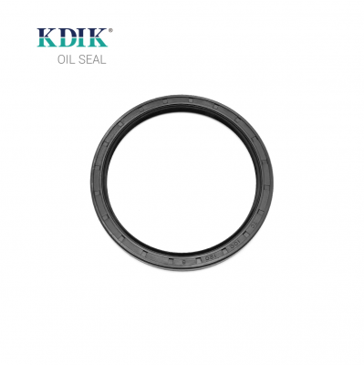 TC 100*120*8 NBR Rubber Rotary Shaft Oil Seal Double Lip with Spring for Automotive Parts