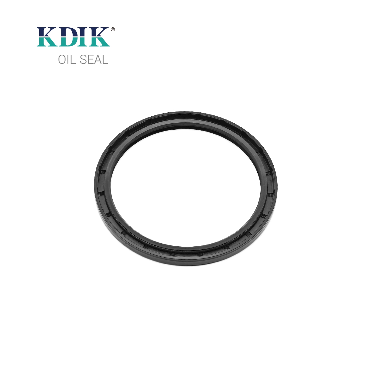 TC 100*120*8 NBR Rubber Rotary Shaft Oil Seal Double Lip with Spring for Automotive Parts
