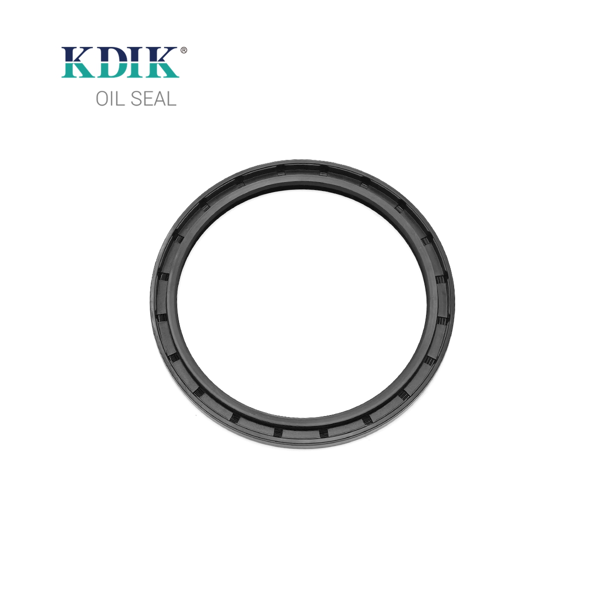 TC 100*120*8 NBR Rubber Rotary Shaft Oil Seal Double Lip with Spring for Automotive Parts