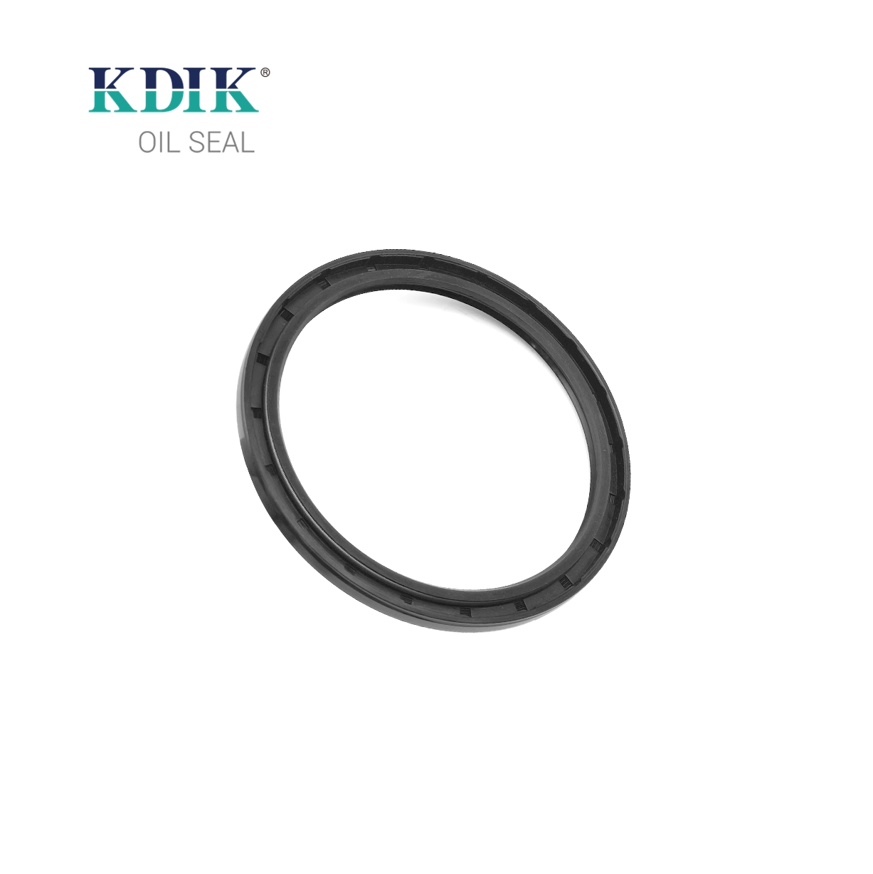 TC 100*120*8 NBR Rubber Rotary Shaft Oil Seal Double Lip with Spring for Automotive Parts