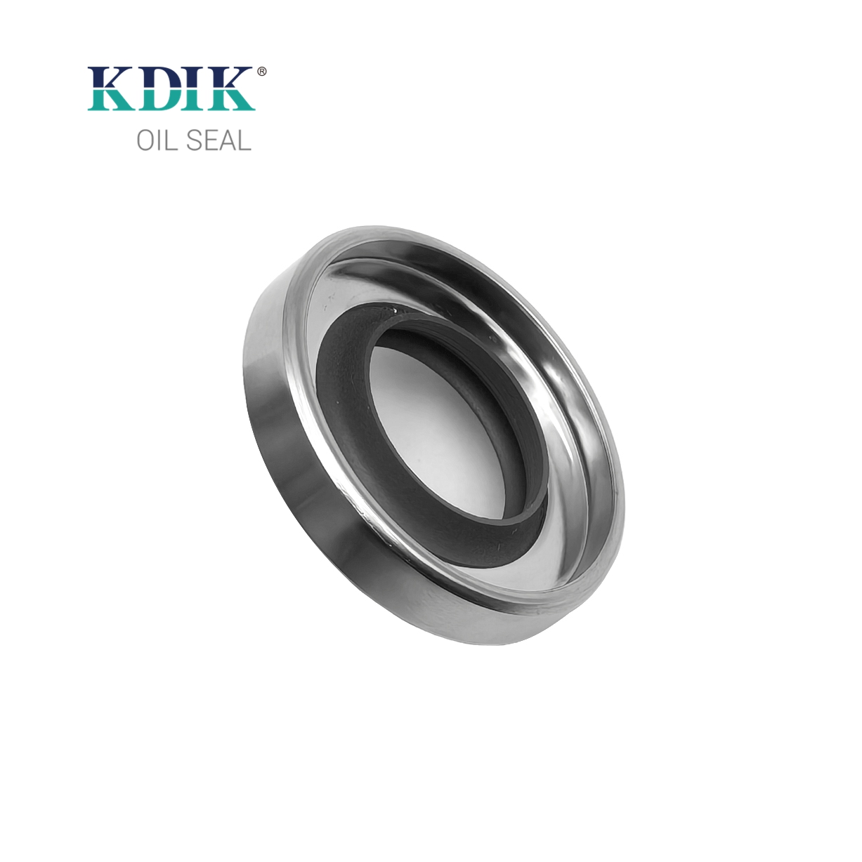 Black Double Reversed Lip Oil Seal Stainless Steel Oil Seal PTFE SS 25*43*8 for Construction Machinery Parts