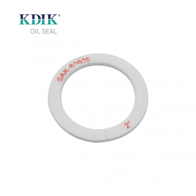 Hot Seal China Factory Price Custom PTEF Gasket SAK-80605 2" for Auto Parts