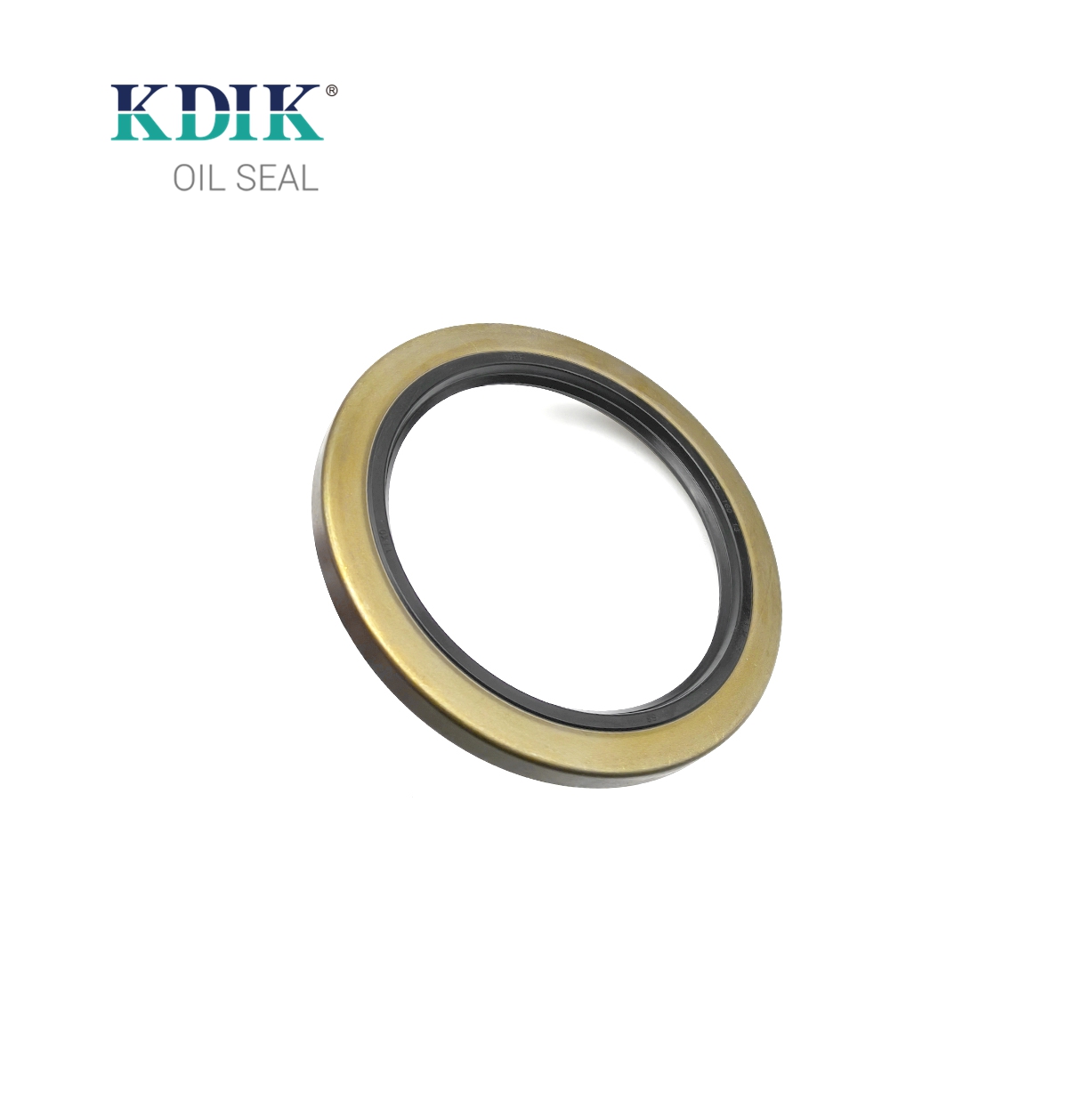 High Quality TA Type Oil Seal Size 120*160*13 Skeleton Shaft Oil Seal Double Lips Seal for Auto Parts