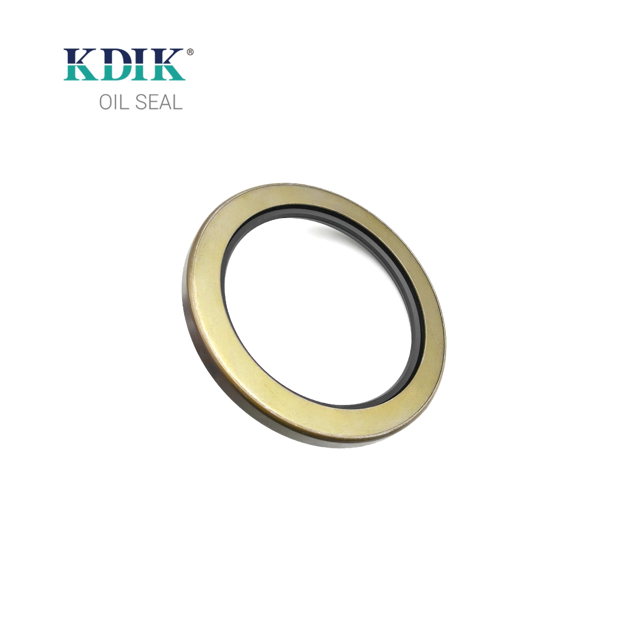 High Quality TA Type Oil Seal Size 120*160*13 Skeleton Shaft Oil Seal Double Lips Seal for Auto Parts