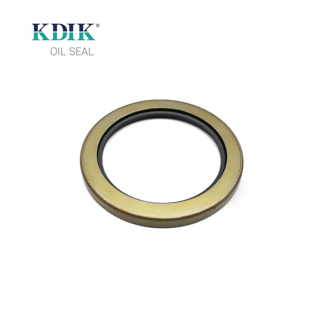 High Quality TA Type Oil Seal Size 120*160*13 Skeleton Shaft Oil Seal Double Lips Seal for Auto Parts