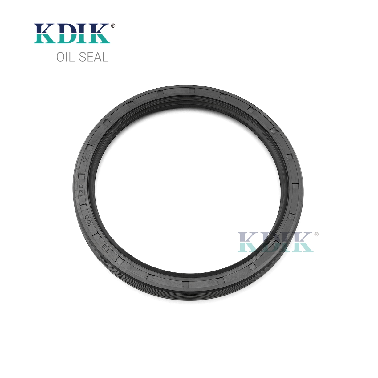 High Quality TG 100*120*12 Skeleton Rotary Shaft Seal External Thread oil seal Double Lip for Auto Parts