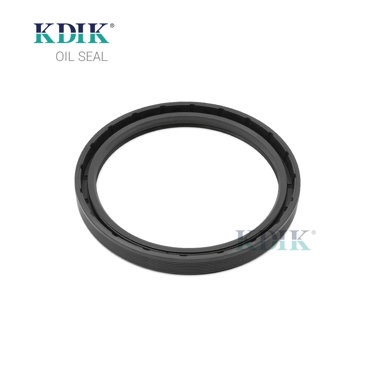High Quality TG 100*120*12 Skeleton Rotary Shaft Seal External Thread oil seal Double Lip for Auto Parts